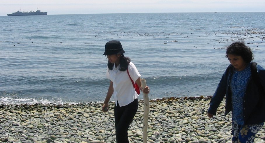 Beach 15.jpg